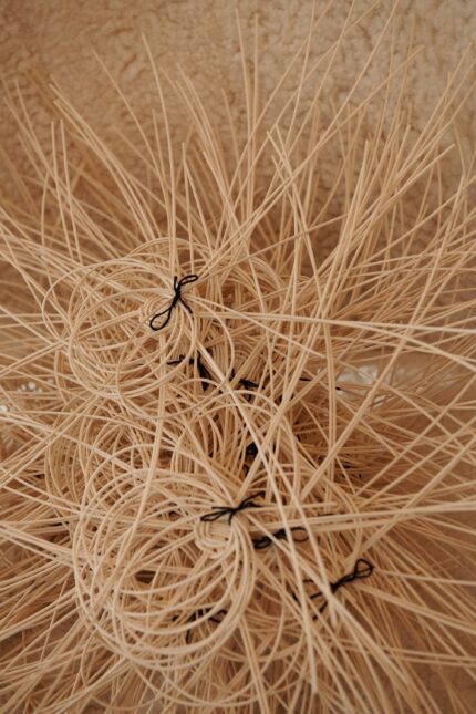 Baledi Underwater Weaving Experience – Host a Creative Event